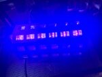 te huur blacklight 24 leds