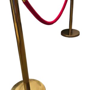 WhatsApp Image 2026-02-12 at 22.45.05